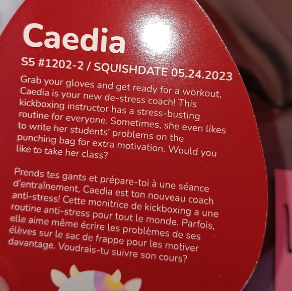 Squishmallows Caedia the Cow 5” ❤️Valentine ❤️ 2024 Release Htf - Picture 4 of 4